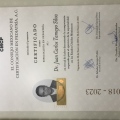 Ampliar imagen: certificate 1