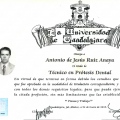 Ampliar imagen: certificate 4