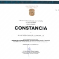 Ampliar imagen: certificate 1