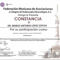 Ampliar imagen: certificate 66