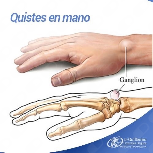 Guillermo González Segura-15