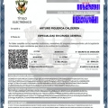Ampliar imagen: certificate 3