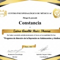 Ampliar imagen: certificate 11