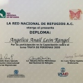 Ampliar imagen: certificate 9
