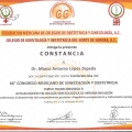 Ampliar imagen: certificate 45