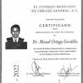 Ampliar imagen: certificate 1