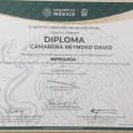 Ampliar imagen: certificate 3