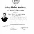 Ampliar imagen: certificate 2