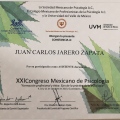 Ampliar imagen: certificate 12