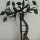 David E. Ortiz Martínez