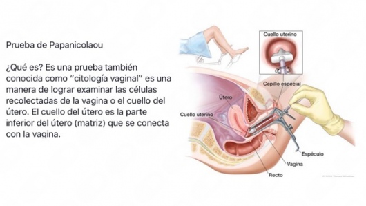 Marbella Flores Castañeda-12