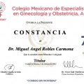 Ampliar imagen: certificate 10