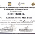Ampliar imagen: certificate 4