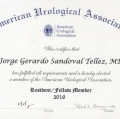 Ampliar imagen: certificate 4