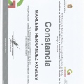 Ampliar imagen: certificate 8