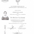 Ampliar imagen: certificate 13