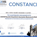 Ampliar imagen: certificate 8