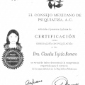 Ampliar imagen: certificate 7