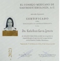 Ampliar imagen: certificate 2