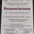 Ampliar imagen: certificate 23