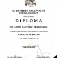 Ampliar imagen: certificate 4