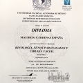 Ampliar imagen: certificate 3