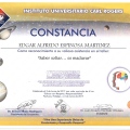 Ampliar imagen: certificate 13