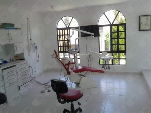 Flor Angélica Delgado De Alba-1