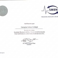 Ampliar imagen: certificate 9