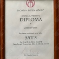 Ampliar imagen: certificate 9