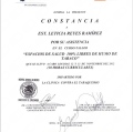 Ampliar imagen: certificate 10