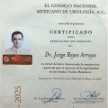 Ampliar imagen: certificate 1