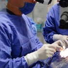 Dr. Francisco Segura Alemán