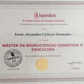 Ampliar imagen: certificate 13