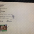 Ampliar imagen: certificate 2