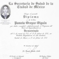 Ampliar imagen: certificate 2
