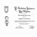 Ampliar imagen: certificate 1