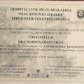 Ampliar imagen: certificate 3