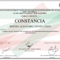 Ampliar imagen: certificate 6