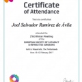 Ampliar imagen: certificate 8