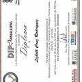 Ampliar imagen: certificate 9