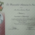 Ampliar imagen: certificate 3