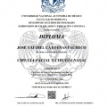 Ampliar imagen: certificate 2