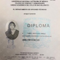 Ampliar imagen: certificate 8