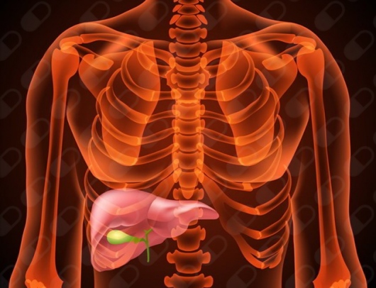 José Luis Kantún Jiménez-14