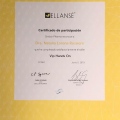 Ampliar imagen: certificate 3