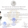 Ampliar imagen: certificate 4