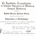 Ampliar imagen: certificate 4