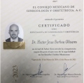 Ampliar imagen: certificate 2
