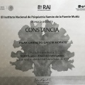Ampliar imagen: certificate 26